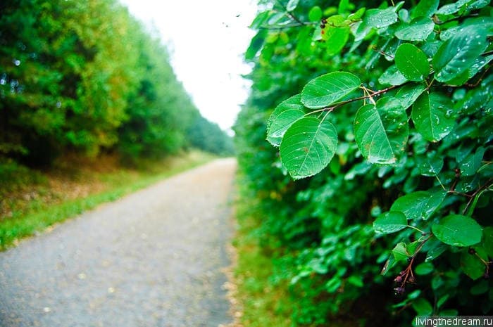 riihimaki-lahti-012 riihimaki-lahti-012