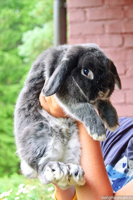 riihimaki-lahti-038 riihimaki-lahti-038