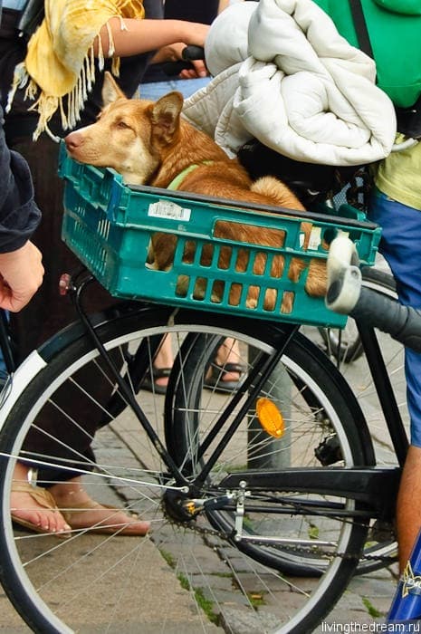 denmark-copenhagen-003 denmark-copenhagen-003