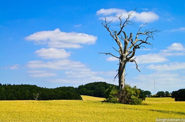 farmer-002 farmer-002