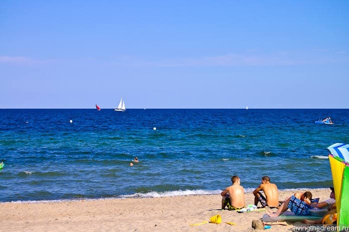 farmer-005 farmer-005