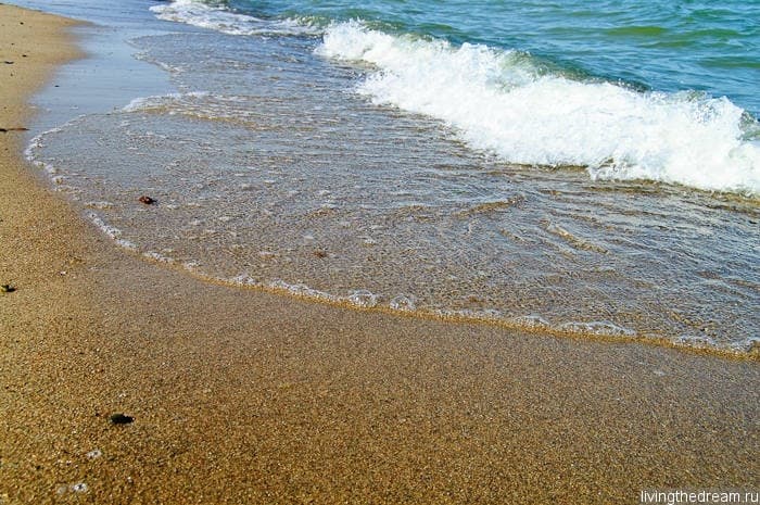 farmer-006 farmer-006