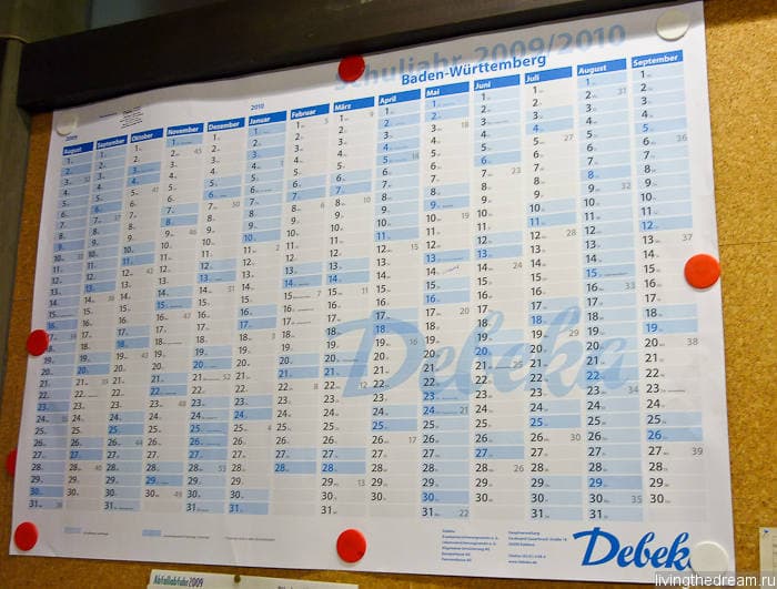 Учебный год Учебный год