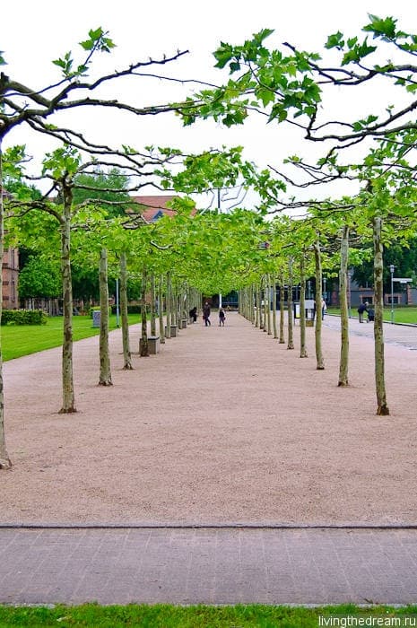 offenburg-014 offenburg-014