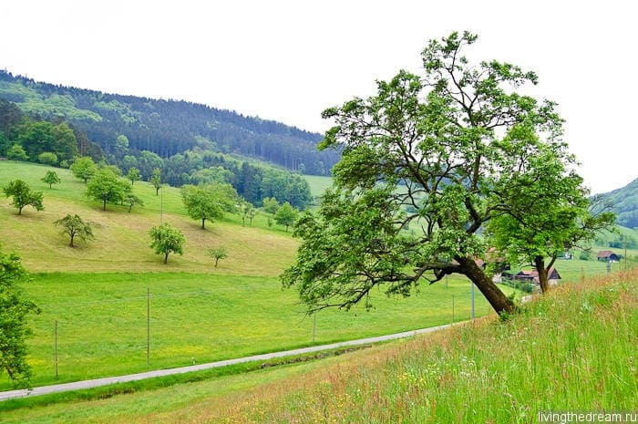 offenburg-041 offenburg-041