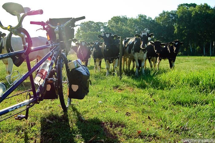 bremen-ploen-012 bremen-ploen-012