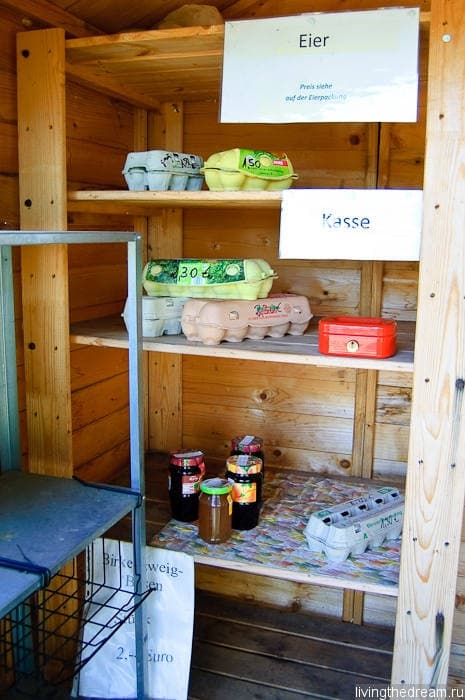 bremen-ploen-016 bremen-ploen-016