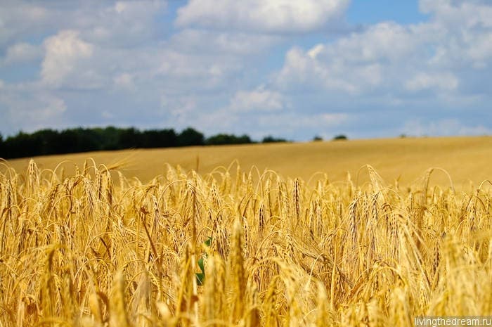 bremen-ploen-028 bremen-ploen-028