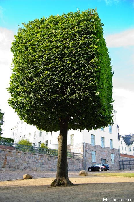 bremen-ploen-033 bremen-ploen-033