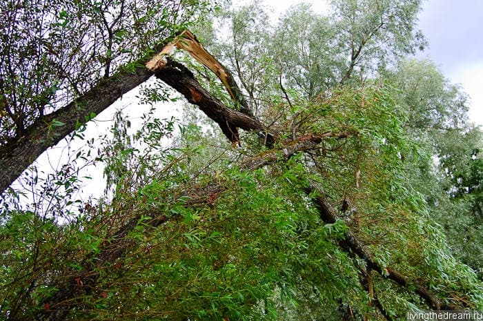 riihimaki-lahti-031 riihimaki-lahti-031