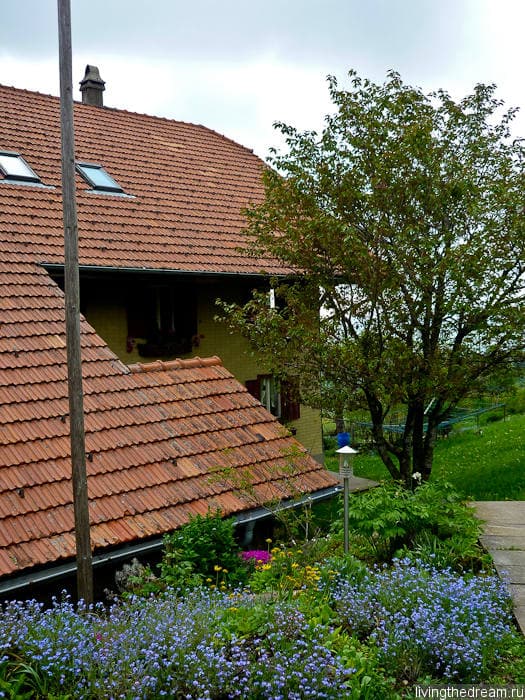 Здесь мы жили