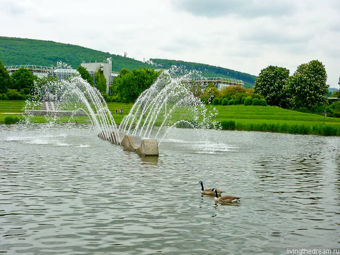 Фонтан и гуси Фонтан и гуси