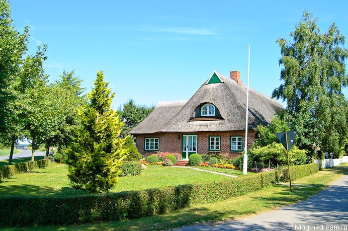 farmer-003 farmer-003