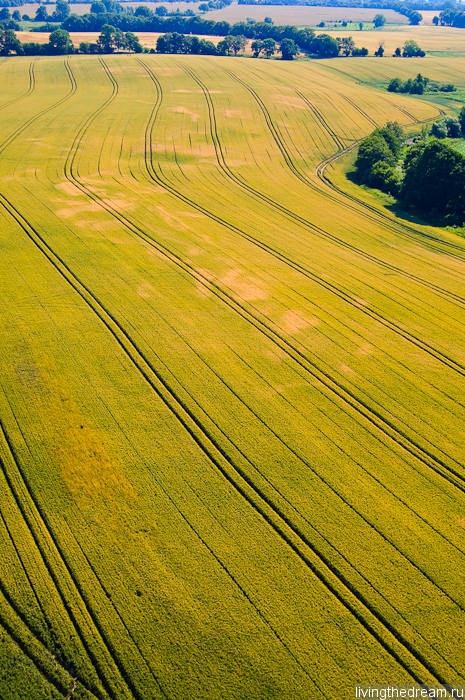 farmer-015 farmer-015