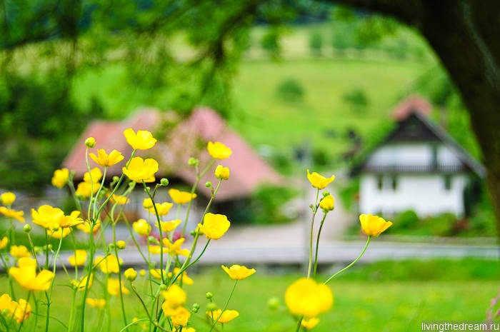 offenburg-039 offenburg-039