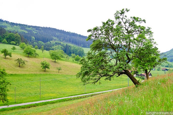 offenburg-041 offenburg-041