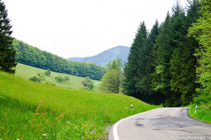 offenburg-042 offenburg-042