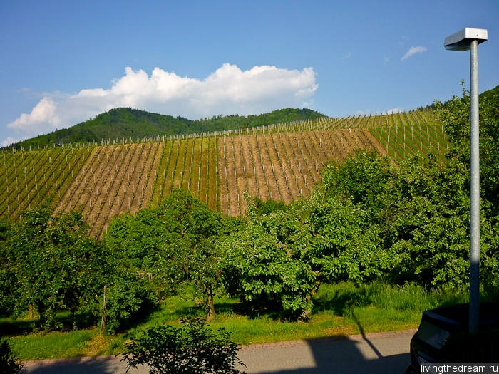 offenburg-048 offenburg-048