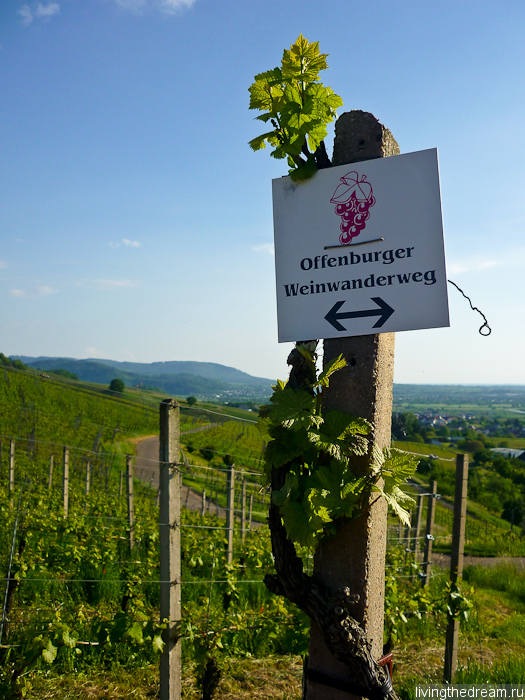 offenburg-049 offenburg-049