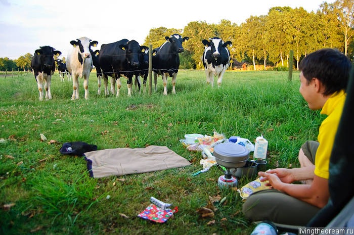 bremen-ploen-009 bremen-ploen-009