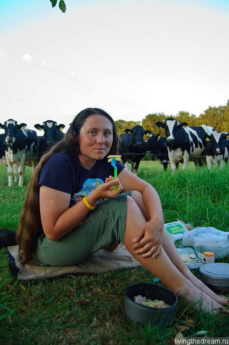 bremen-ploen-010 bremen-ploen-010