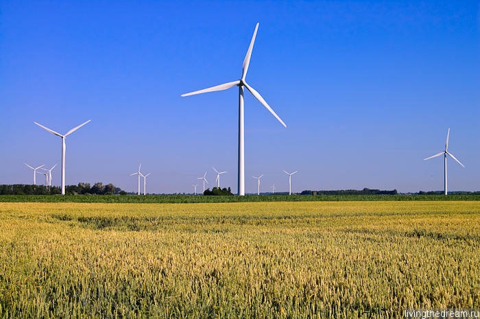 bremen-ploen-015 bremen-ploen-015