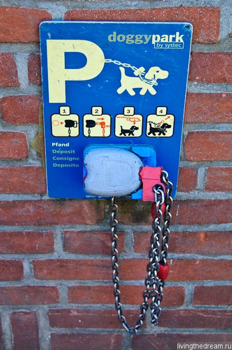 bremen-ploen-019 bremen-ploen-019