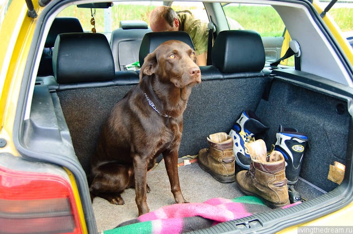 bremen-ploen-029 bremen-ploen-029