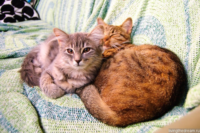 riihimaki-lahti-035 riihimaki-lahti-035