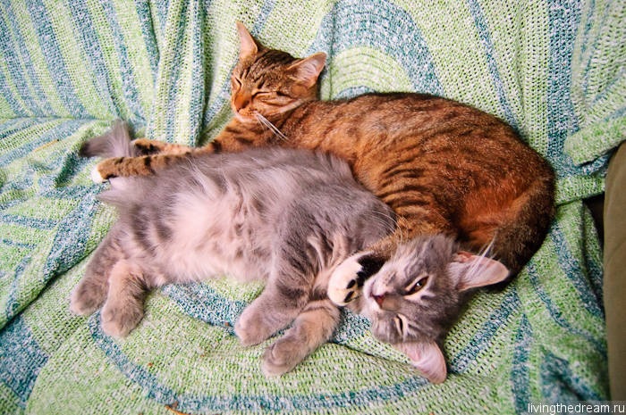 riihimaki-lahti-036 riihimaki-lahti-036