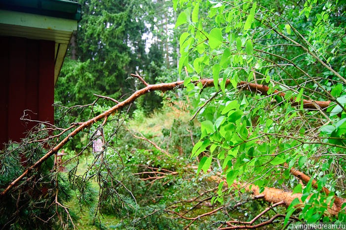 riihimaki-lahti-039 riihimaki-lahti-039