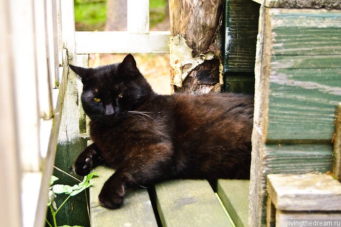 salo-marttila-009 salo-marttila-009