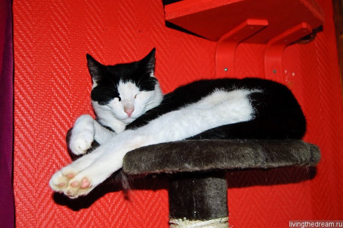 salo-marttila-010 salo-marttila-010