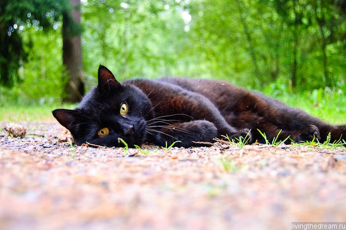 salo-marttila-012 salo-marttila-012