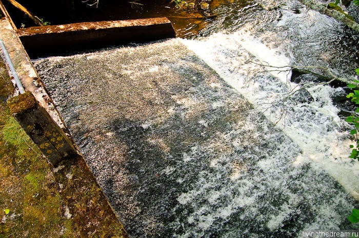 salo-marttila-021 salo-marttila-021