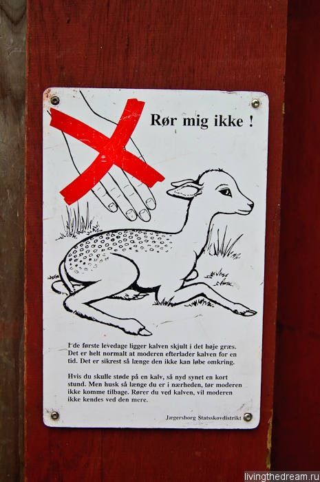 denmark-copenhagen-032 denmark-copenhagen-032