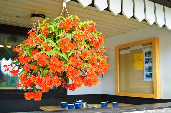 hochu-leto-018 hochu-leto-018