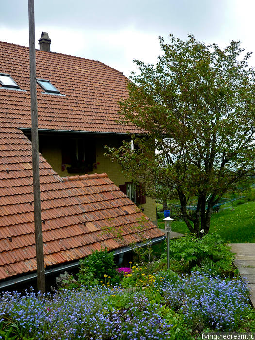 Здесь мы жили